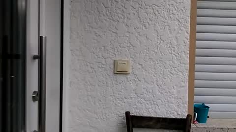 icheinfachich13 online show from 21, 10, 2025