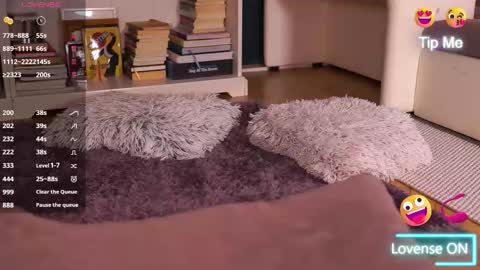 Little Flower online show from 17, 9, 2025