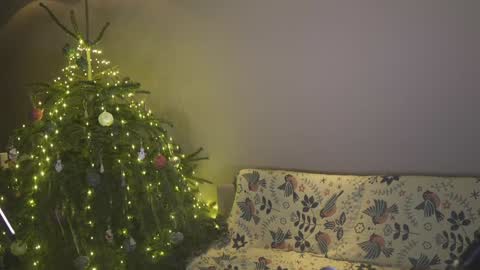 Snapshot of ifyouleave chatting on 4, 1, 2025 Belle online show from 4, 1, 2025