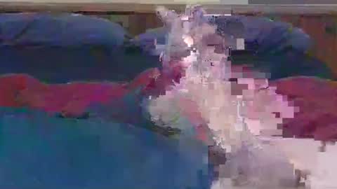 ihavebigballs00 online show from 17, 12, 2024