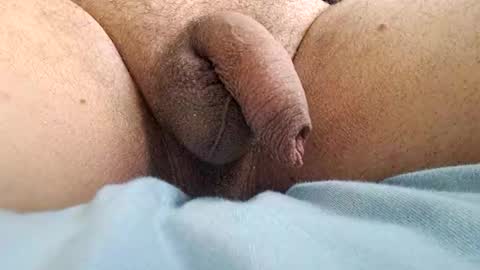 ikbenzo online show from 8, 12, 2024