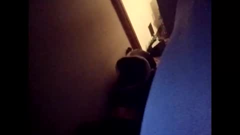 Freakyroofer online show from 23, 12, 2025