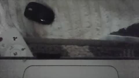 iloveitall86 online show from 19, 4, 2026