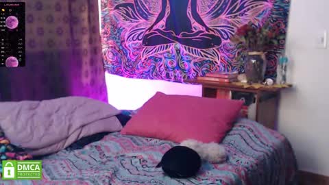 Cutie pie online show from 21, 12, 2024
