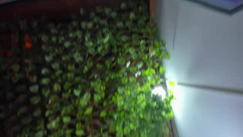 Snapshot of im_xandersmith chatting on 26, 5, 2026 im_xandersmith online show from 26, 5, 2026