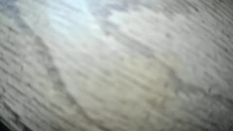 imyobes online show from 15, 1, 2026