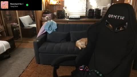 Carter online show from 31, 7, 2026
