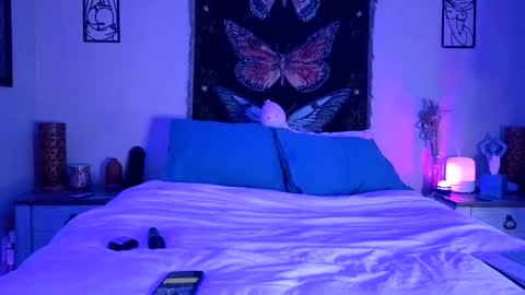 Indigo Bay online show from 5, 2, 2026