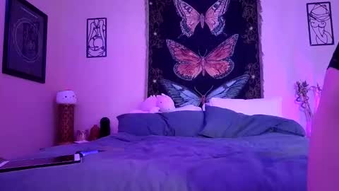 Indigo Bay online show from 16, 3, 2026