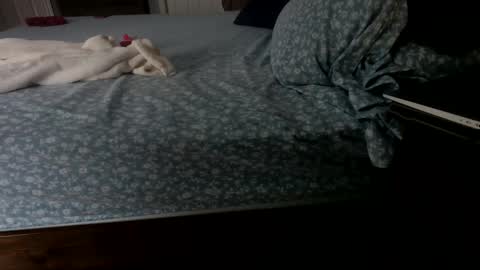 Snapshot of insatiablecpl333 chatting on 23, 1, 2025 InsatiableCpl333 online show from 23, 1, 2025