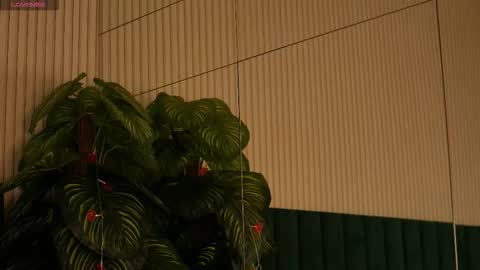 Maria online show from 31, 10, 2025