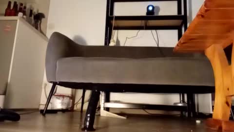 Snapshot of iron_cock40 chatting on 13, 2, 2026 iron_cock40 online show from 13, 2, 2026