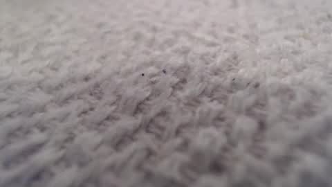 ironman383838 online show from 20, 10, 2025