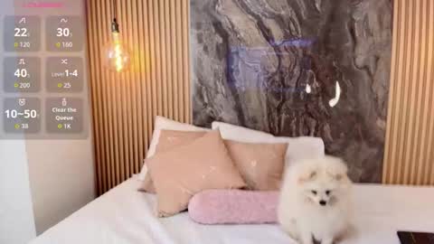 ISADORA online show from 13, 10, 2025