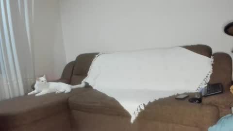 Issabelle online show from 6, 11, 2025