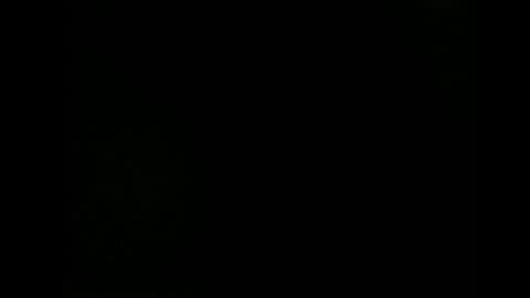 issazorro online show from 18, 12, 2024