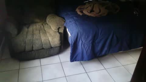 Snapshot of italjock24 chatting on 11, 9, 2025 BearlyLoganFL online show from 11, 9, 2025