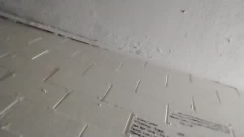 ittybitty0075 online show from 11, 3, 2026