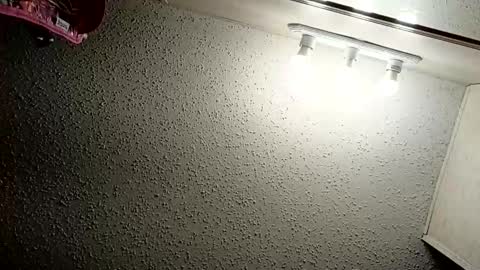 ittybittypritty online show from 9, 11, 2025