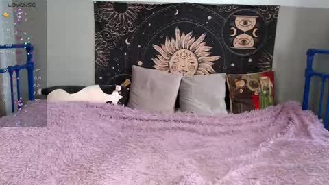 Sasha online show from 12, 2, 2026