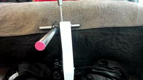 Ivis  online show from 4, 3, 2026