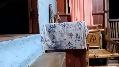 j828413 online show from 27, 10, 2025