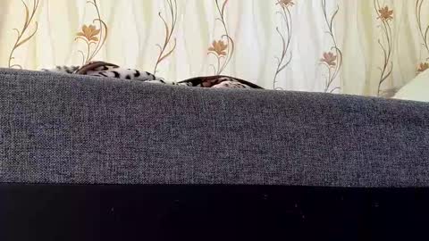 jaaaaanek2 online show from 21, 4, 2026