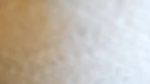 jacko2024 online show from 9, 10, 2025