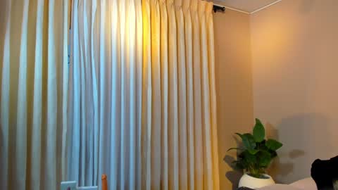 Jackson Bell online show from 19, 12, 2024