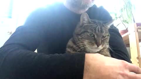 Snapshot of jacobmotes chatting on 15, 2, 2026 Jacob online show from 15, 2, 2026