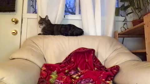 Snapshot of jacobmotes chatting on 22, 2, 2026 Jacob online show from 22, 2, 2026