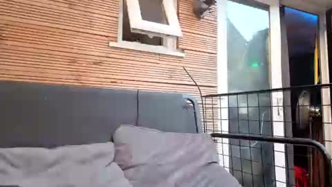 jadealexas online show from 31, 7, 2026