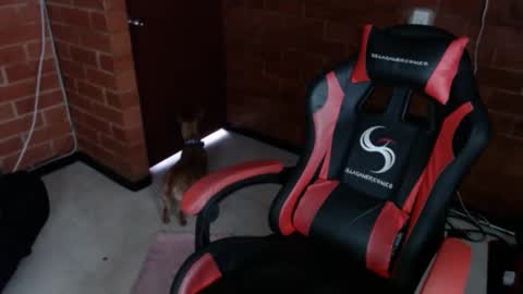 jadesexfun online show from 12, 3, 2025