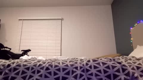 Snapshot of jaidenblake chatting on 2, 12, 2024 jaidenblake online show from 2, 12, 2024