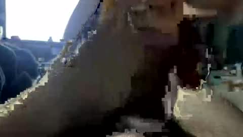 jalenwnut online show from 25, 5, 2026