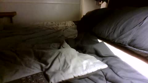 Jamacian online show from 30, 9, 2025