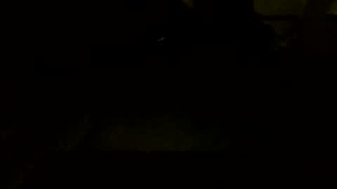 Jamacian online show from 7, 10, 2025