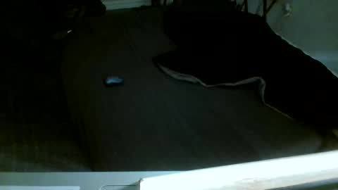 Jamacian online show from 14, 12, 2025