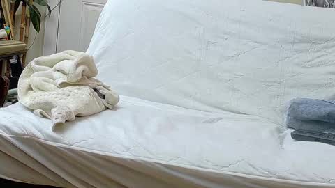 Bootyshows online show from 17, 9, 2025