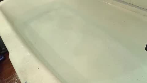 Bootyshows online show from 29, 10, 2025