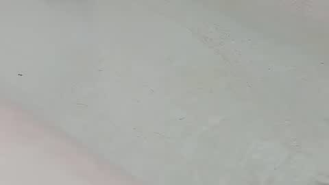Snapshot of jamwarnerone chatting on 25, 7, 2026 Bootyshows online show from 25, 7, 2026
