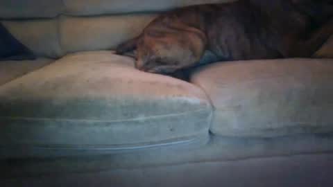 janks1963 online show from 21, 9, 2025