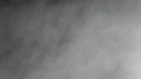 jared_blake online show from 8, 1, 2025