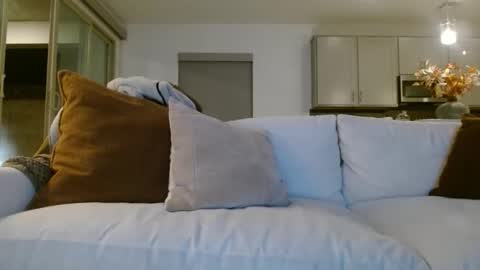 Snapshot of jasonsweets chatting on 7, 1, 2026 Jason Sweets online show from 7, 1, 2026