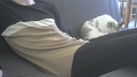 jasper 0 e23cm online show from 21, 9, 2025