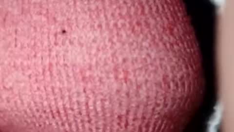 Snapshot of jasspreettt chatting on 28, 12, 2024 jasspreettt online show from 28, 12, 2024