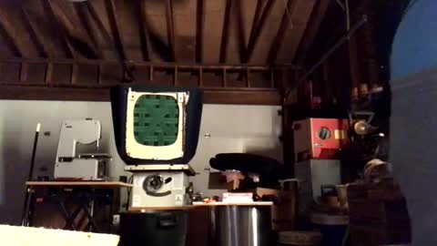 Snapshot of jawssharkparty chatting on 11, 10, 2025 Jaws online show from 11, 10, 2025