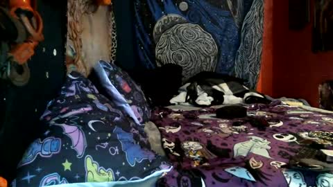 Snapshot of jax_skyfallin chatting on 12, 2, 2025 jaxxx666 online show from 12, 2, 2025