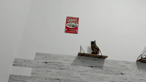 Jaycreedd online show from 8, 3, 2025