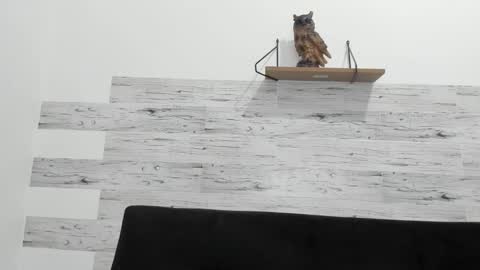 Jaycreedd online show from 21, 9, 2025